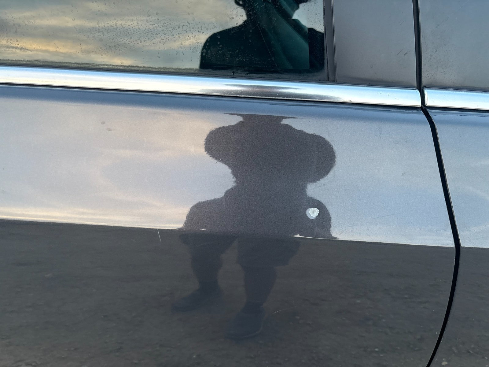 46045954