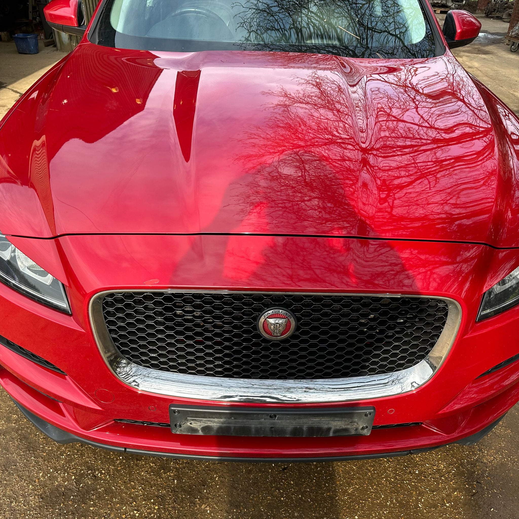 2017 JAGUAR F PACE BONNET
