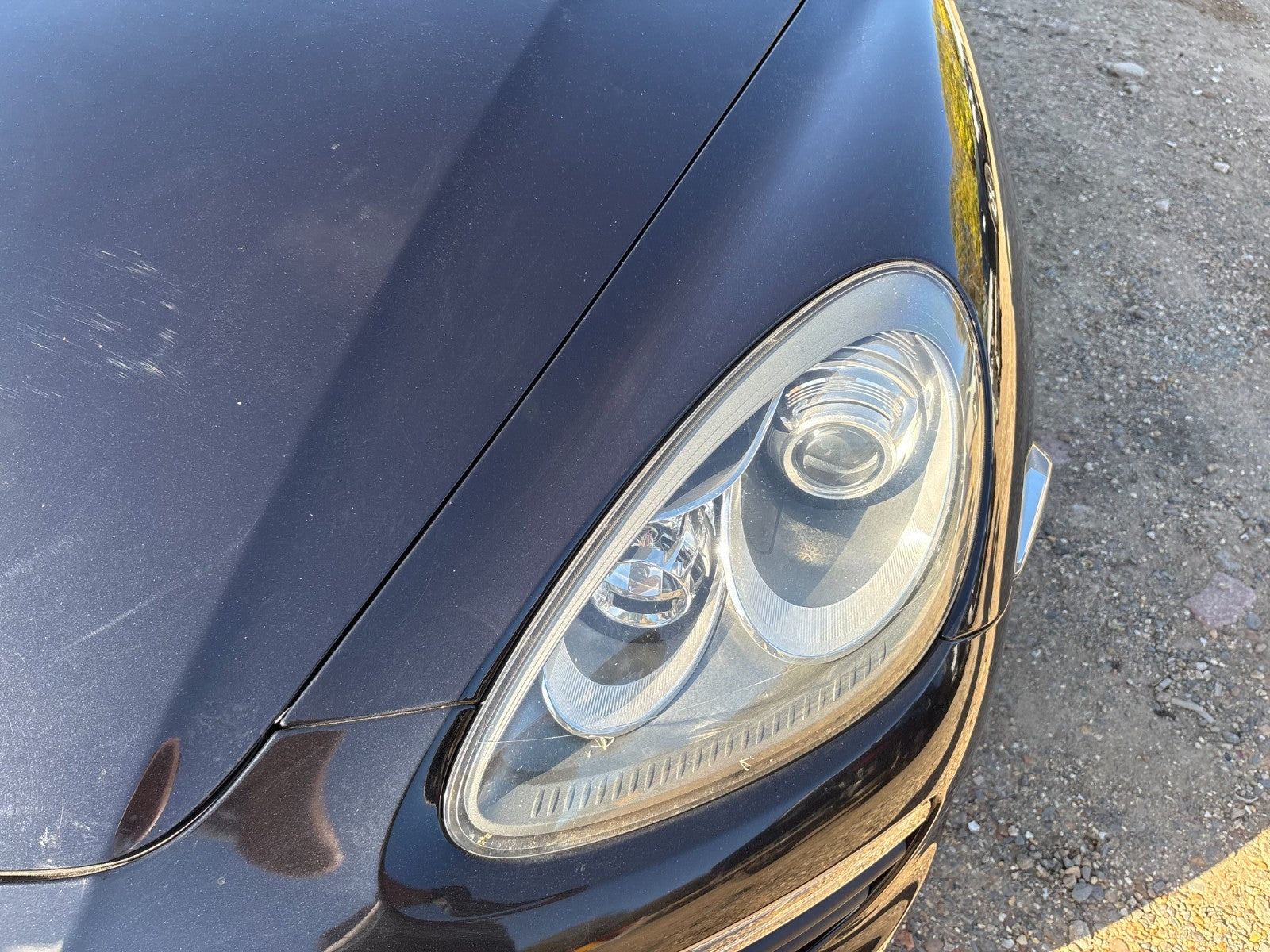45894101