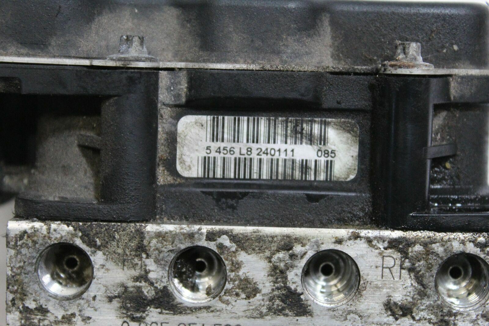 45563275