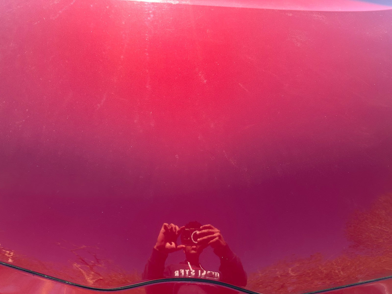 45564861