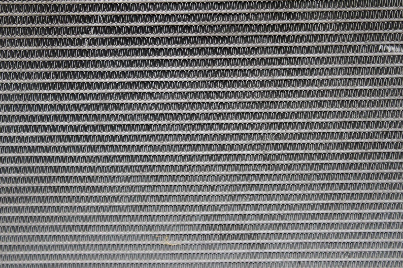 45563072