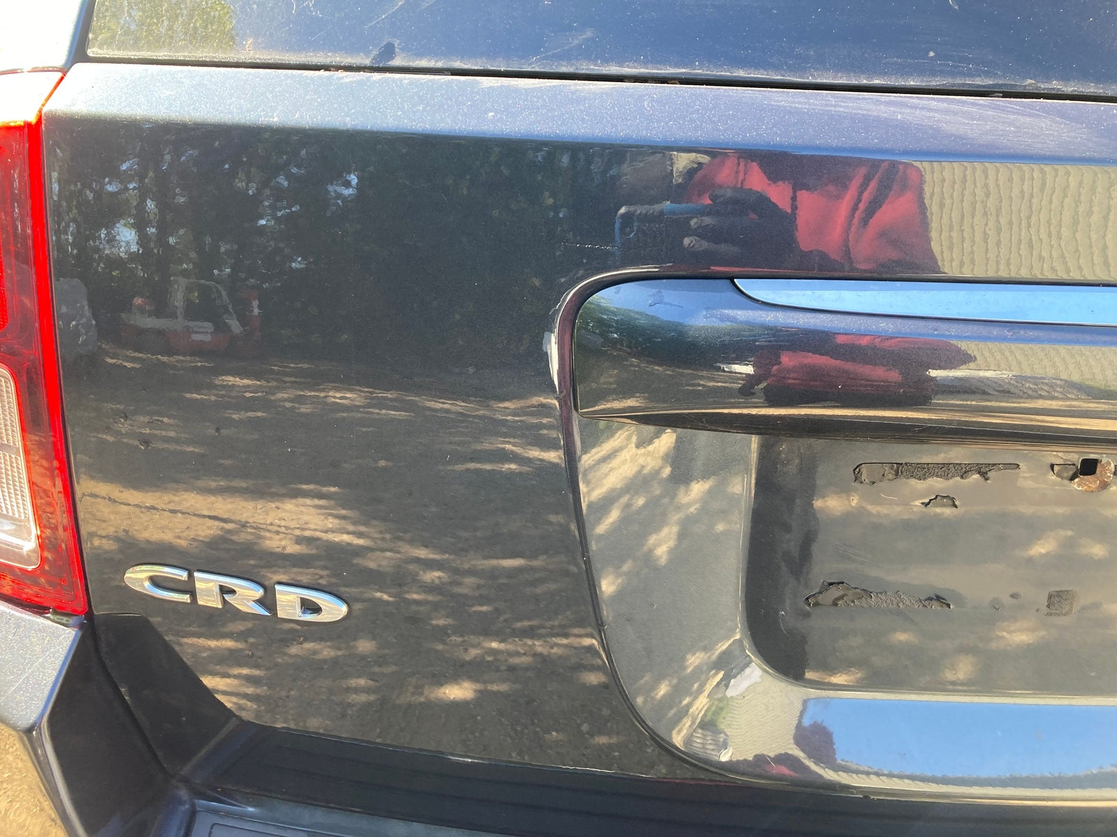 45561686