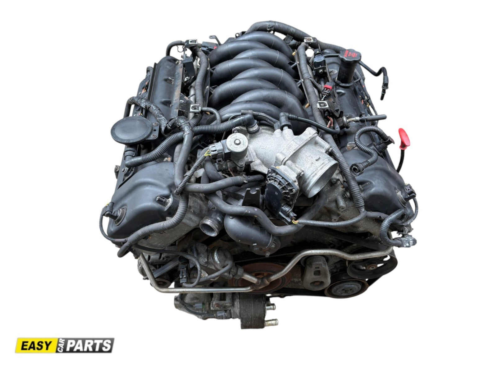 productimage