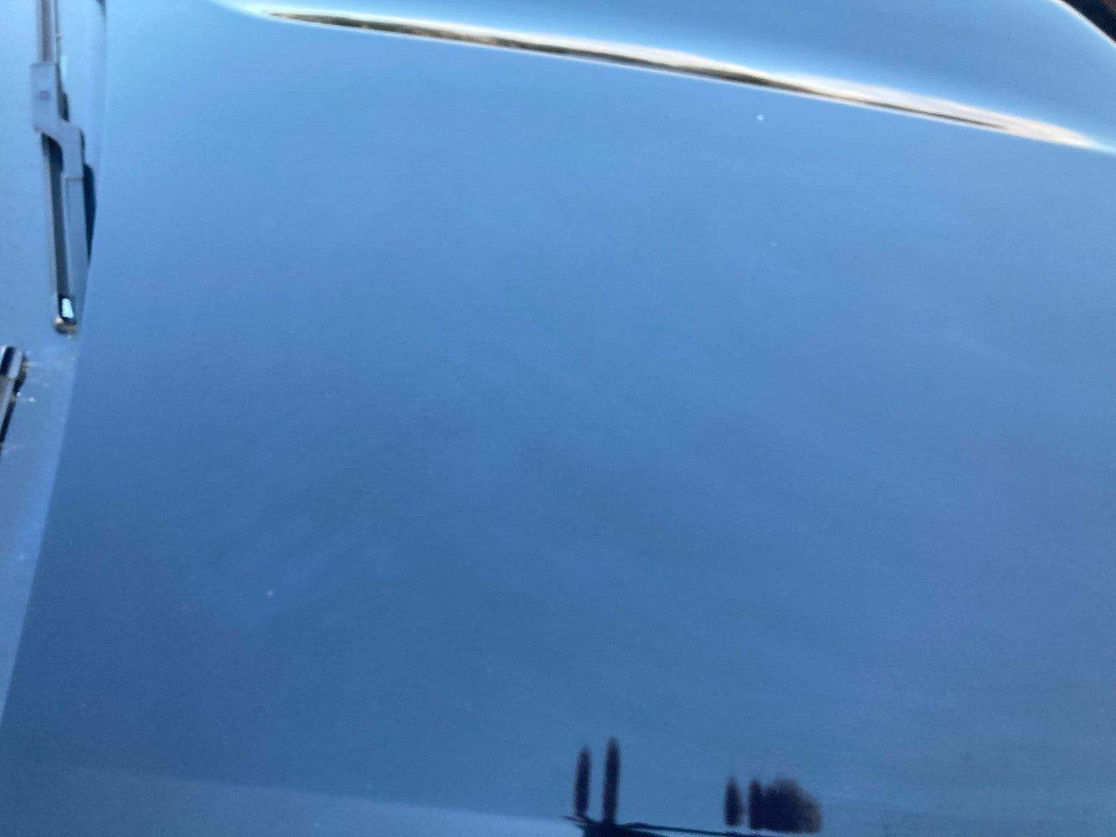 45998590
