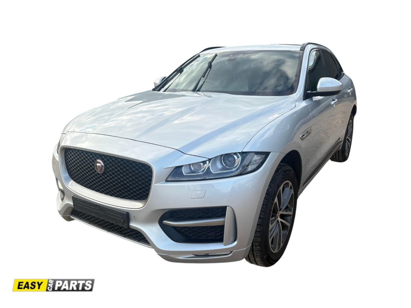 47805481