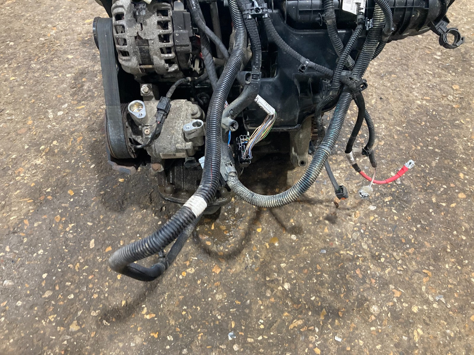 47678446