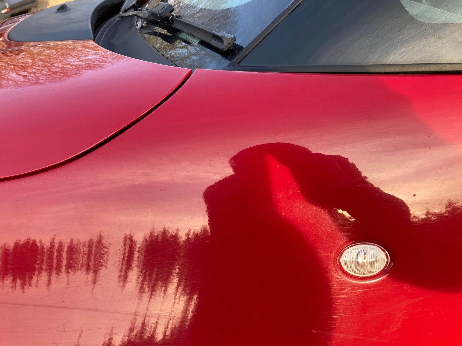 productimage