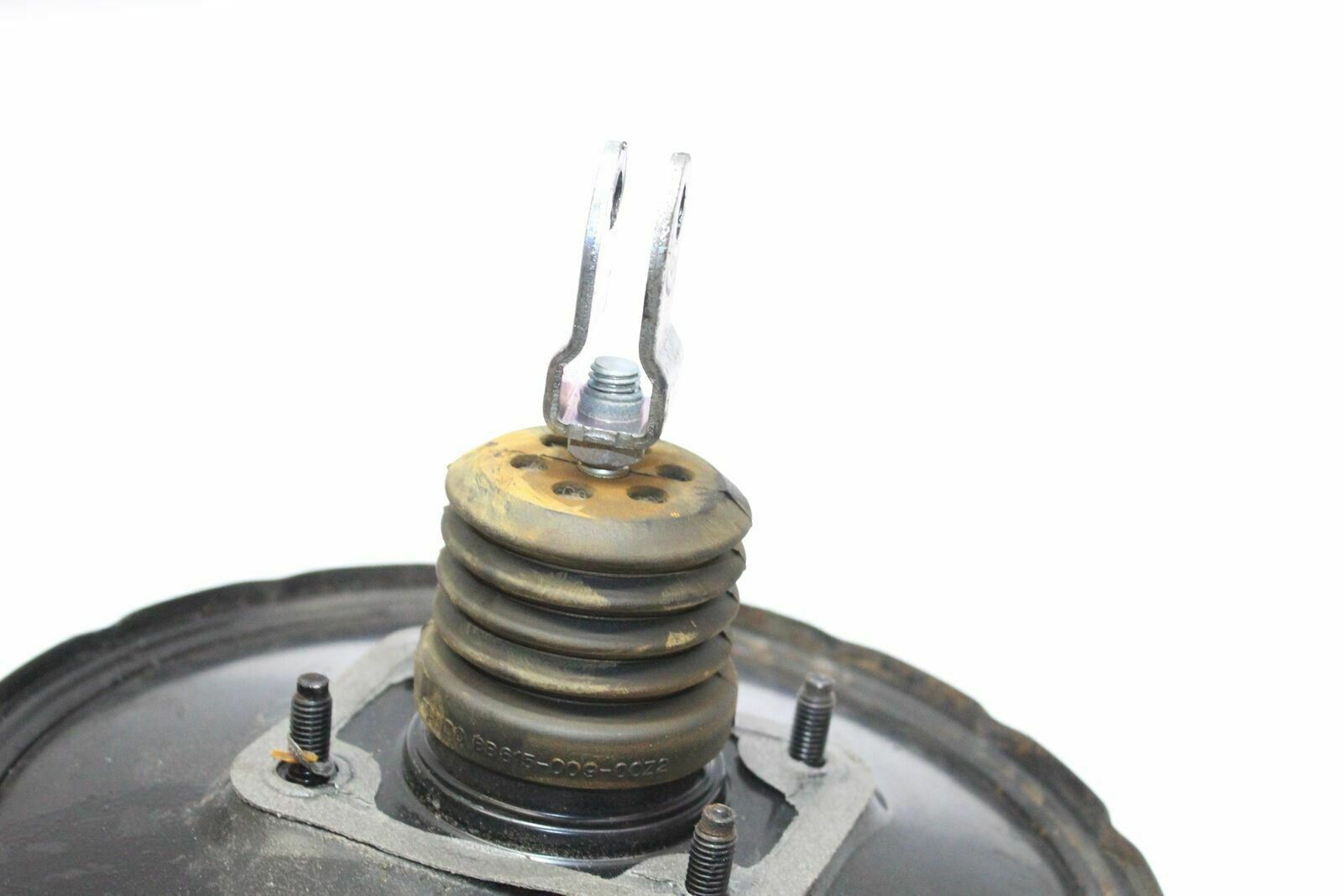 47539702