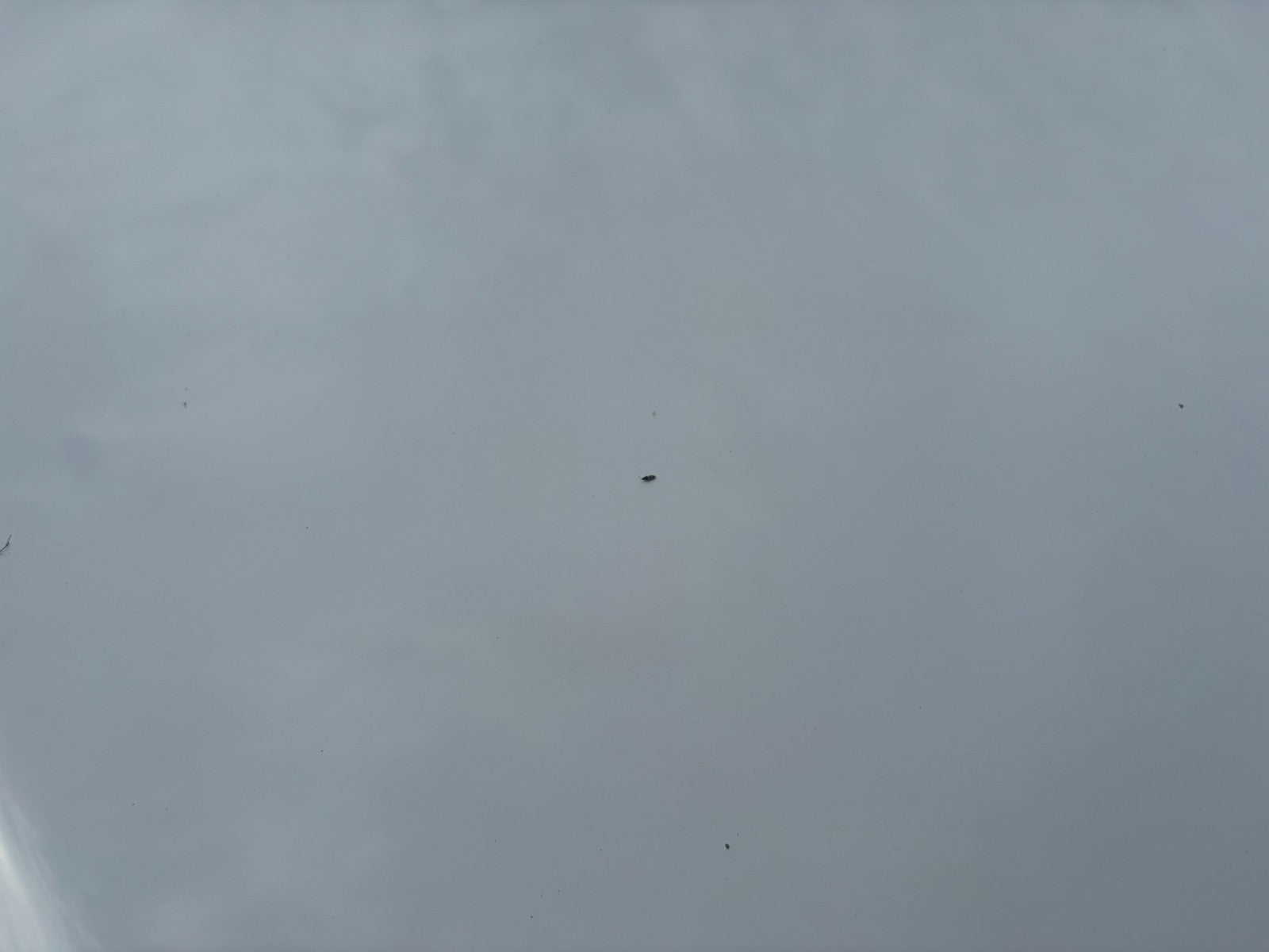 47749555