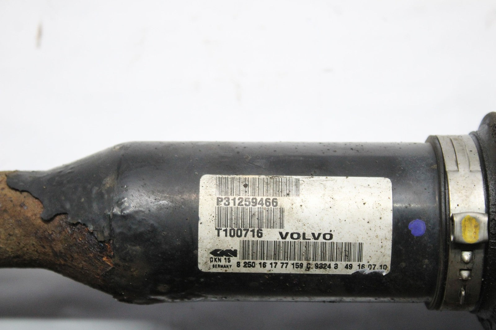 45563038