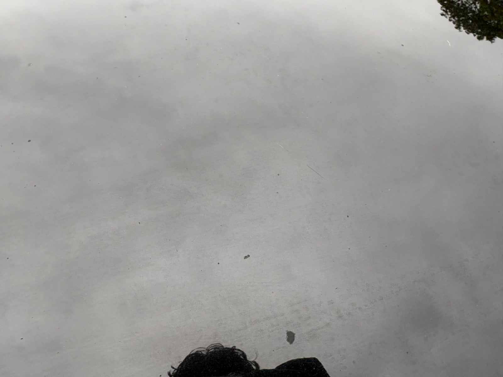 47749745
