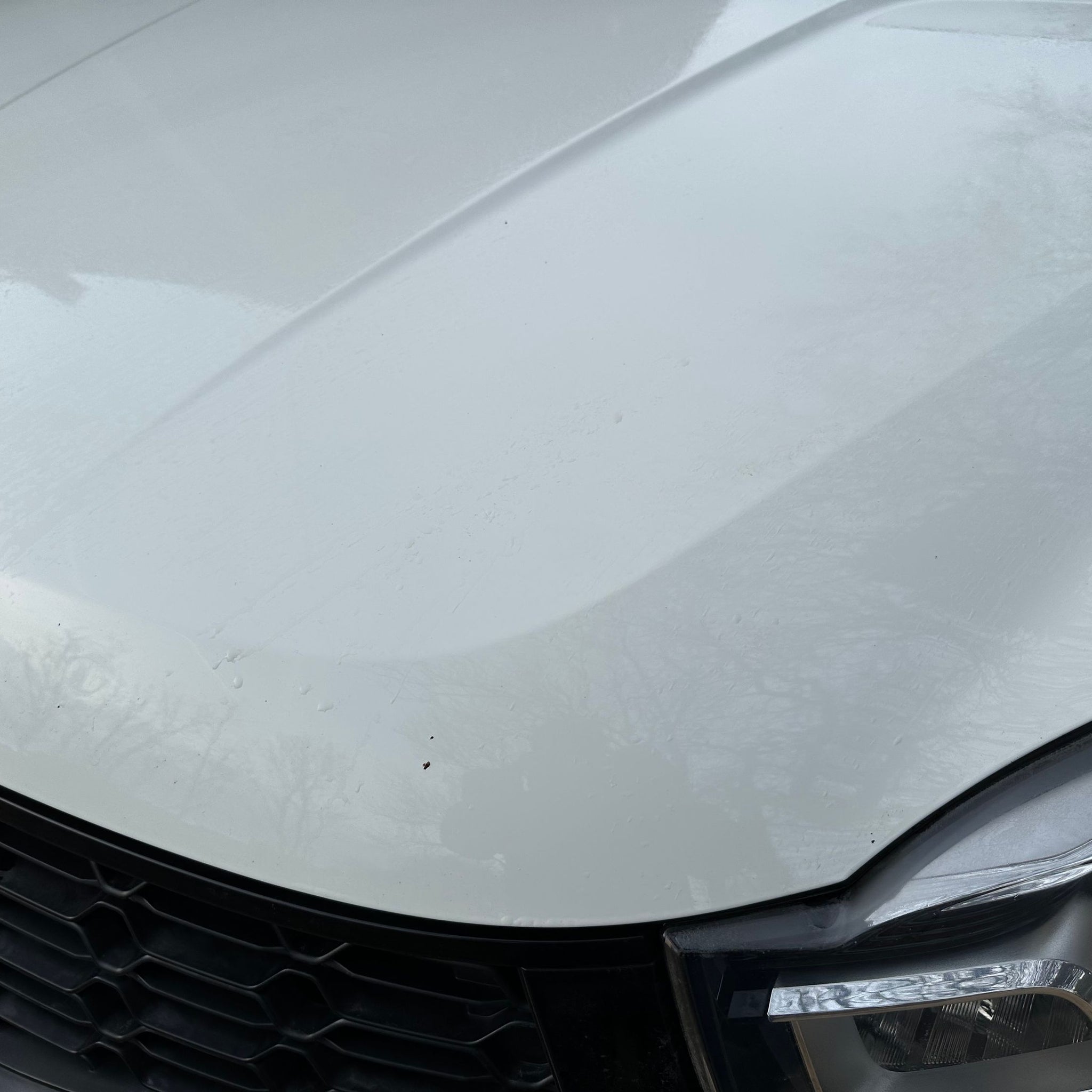 2015 SSANGYONG KORANDO BONNET