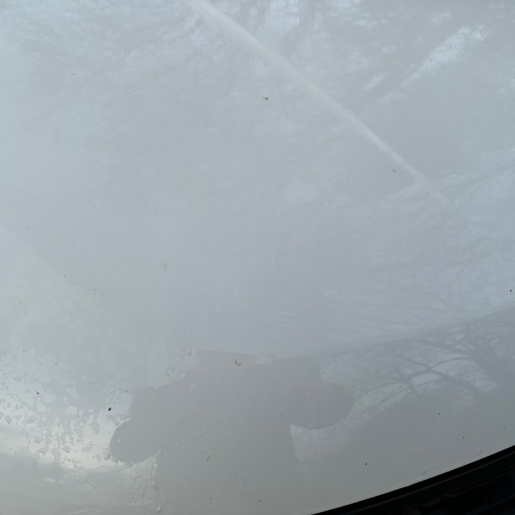 2015 SSANGYONG KORANDO BONNET