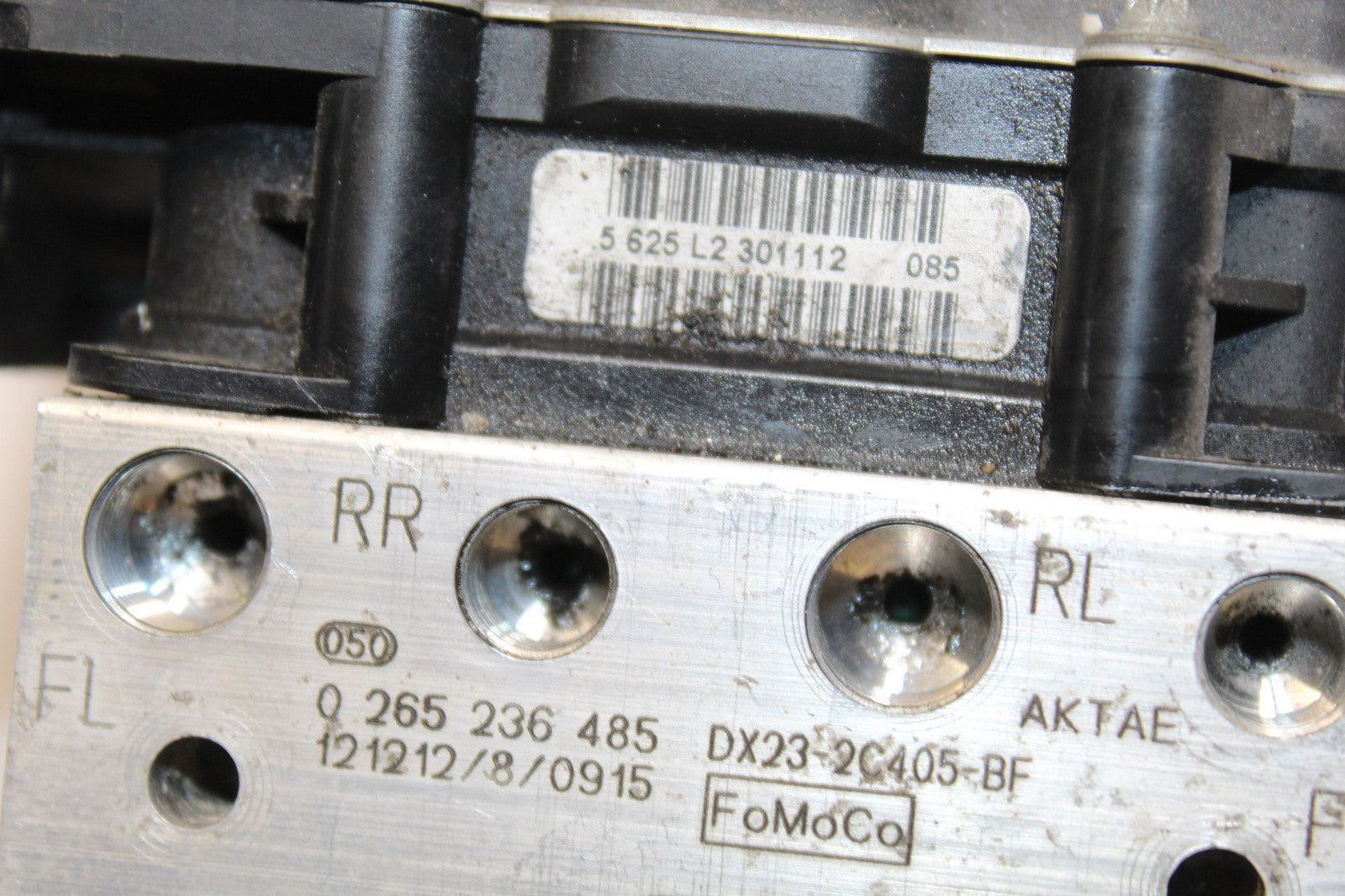 45571696
